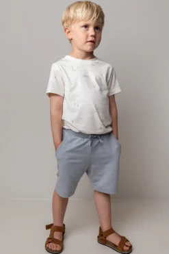 Phoenix, Shorts